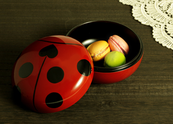 �L���������{�b�N�X